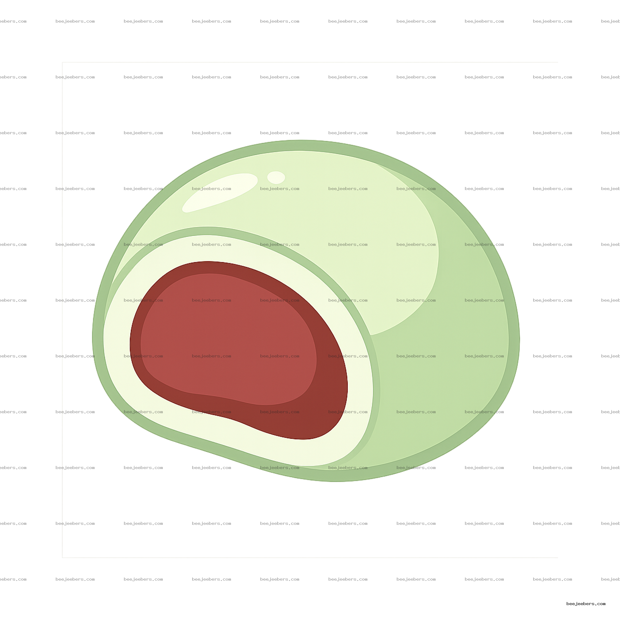 Vector illustration of a green mochi cut in half showing red bean filling with glossy highlights on transparent background
