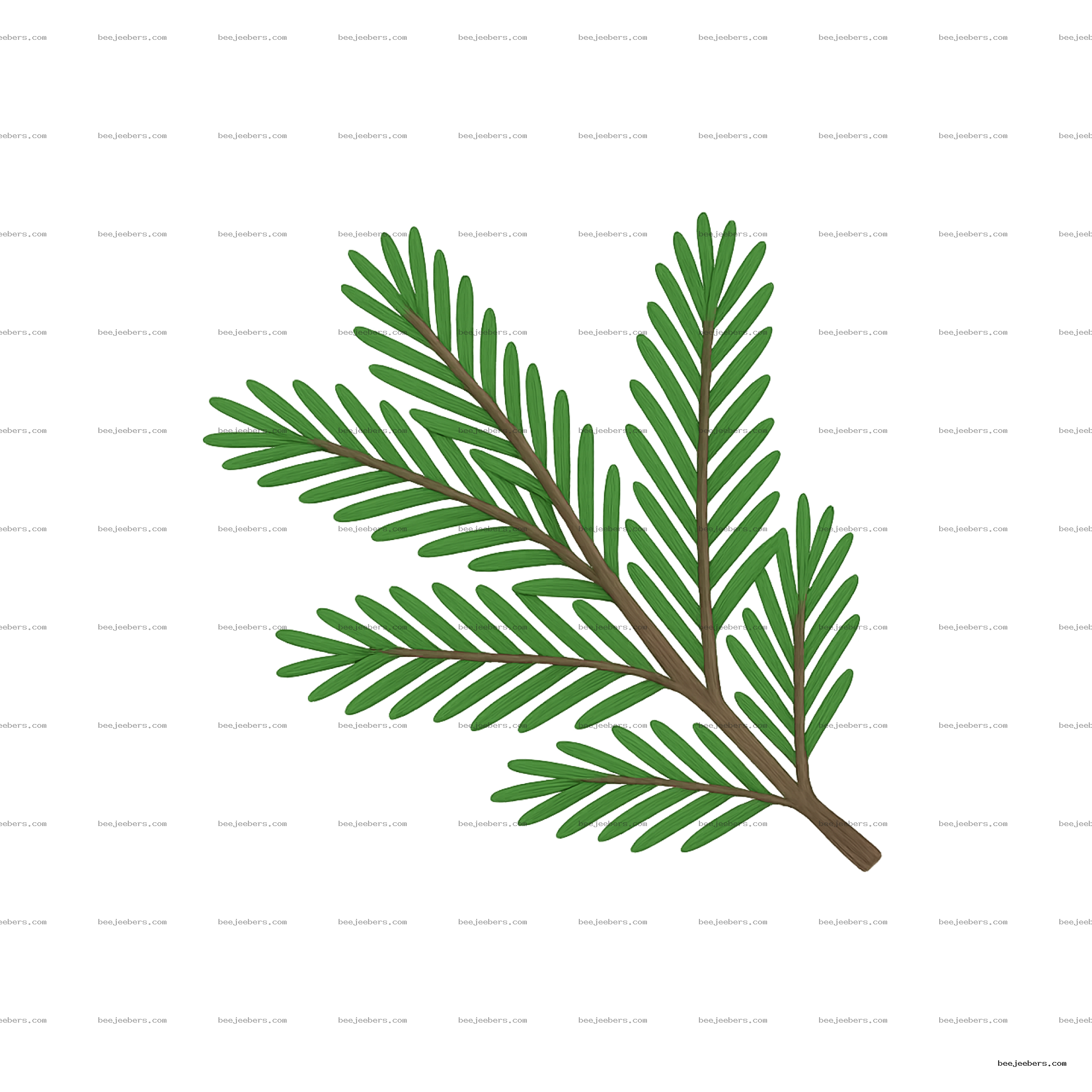 Green pine branch with needle-like leaves and brown stem in clean vector style on transparent background