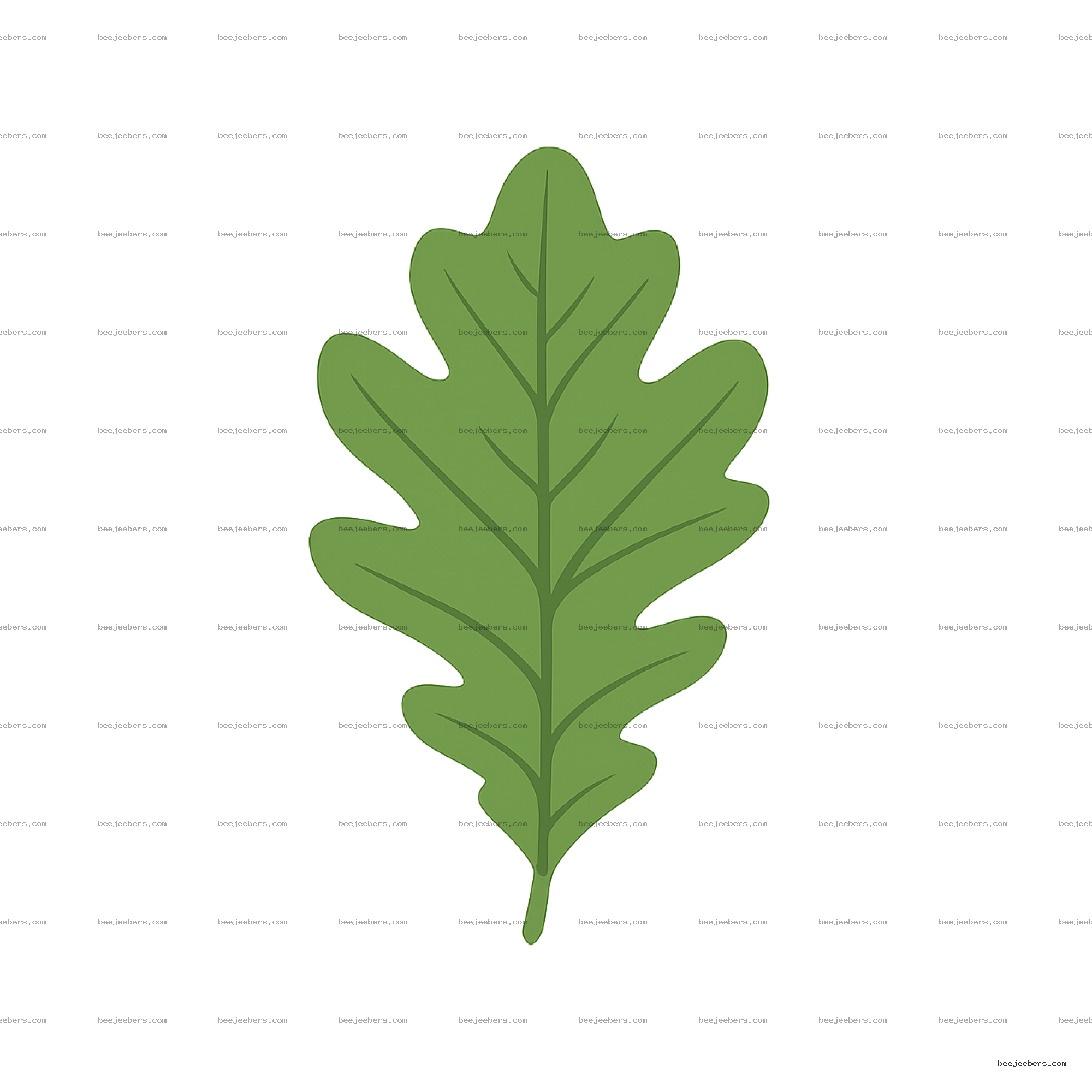 Green oak leaf clipart with simple veins on transparent background