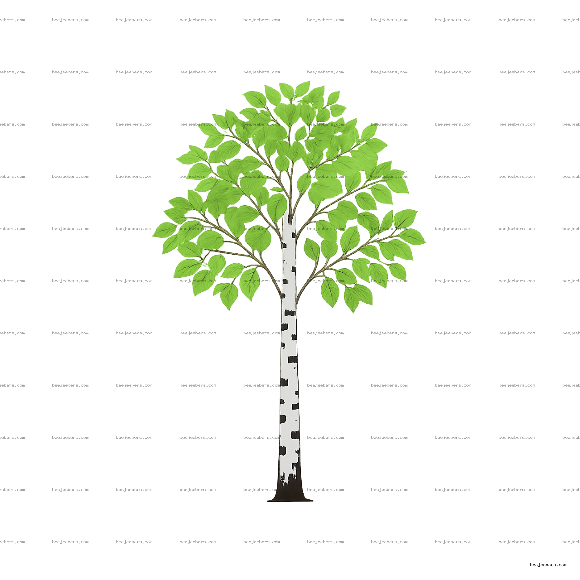 Clean vector birch tree with green leaves and white bark trunk on transparent background