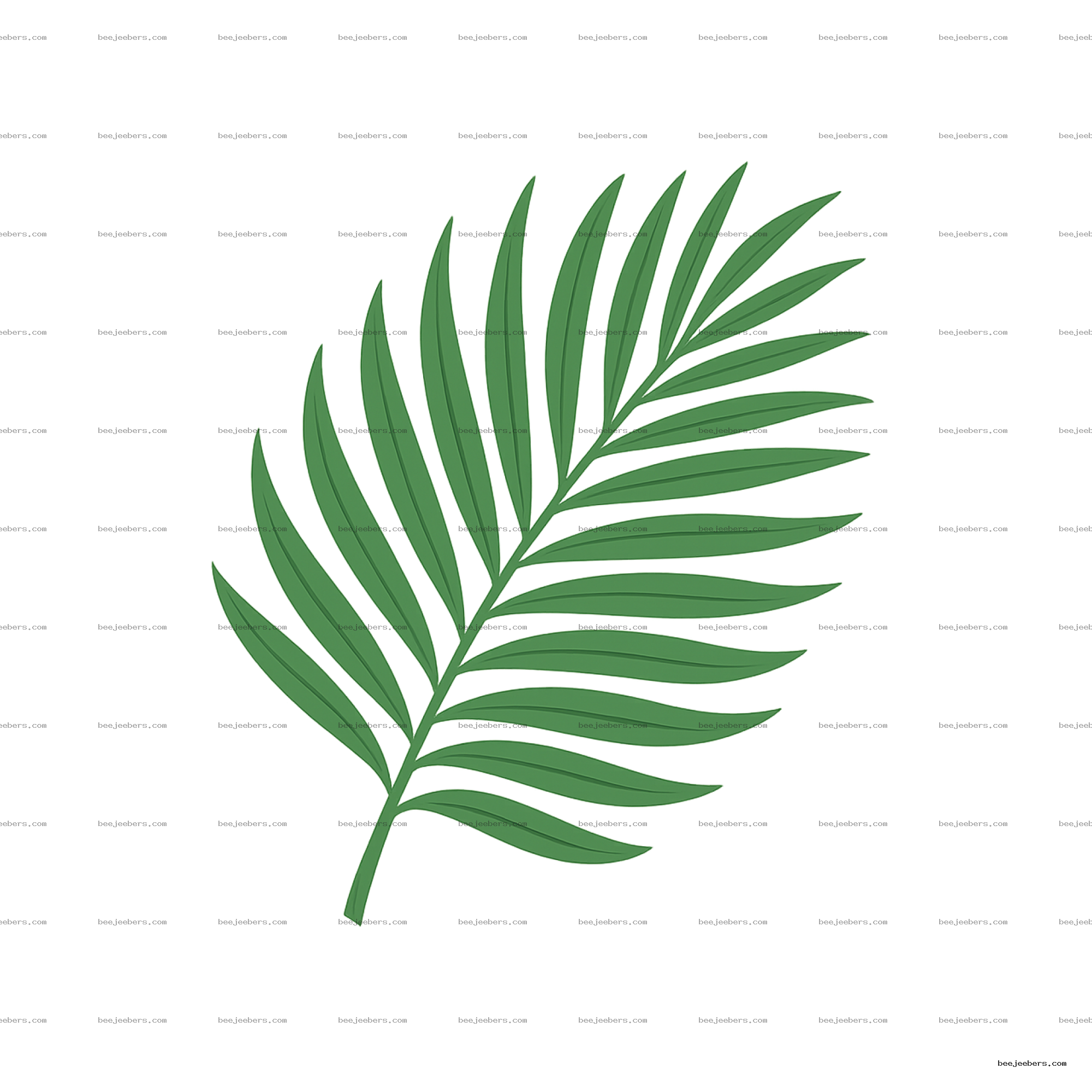 Clean vector illustration of a green palm leaf with detailed leaflets on a transparent background