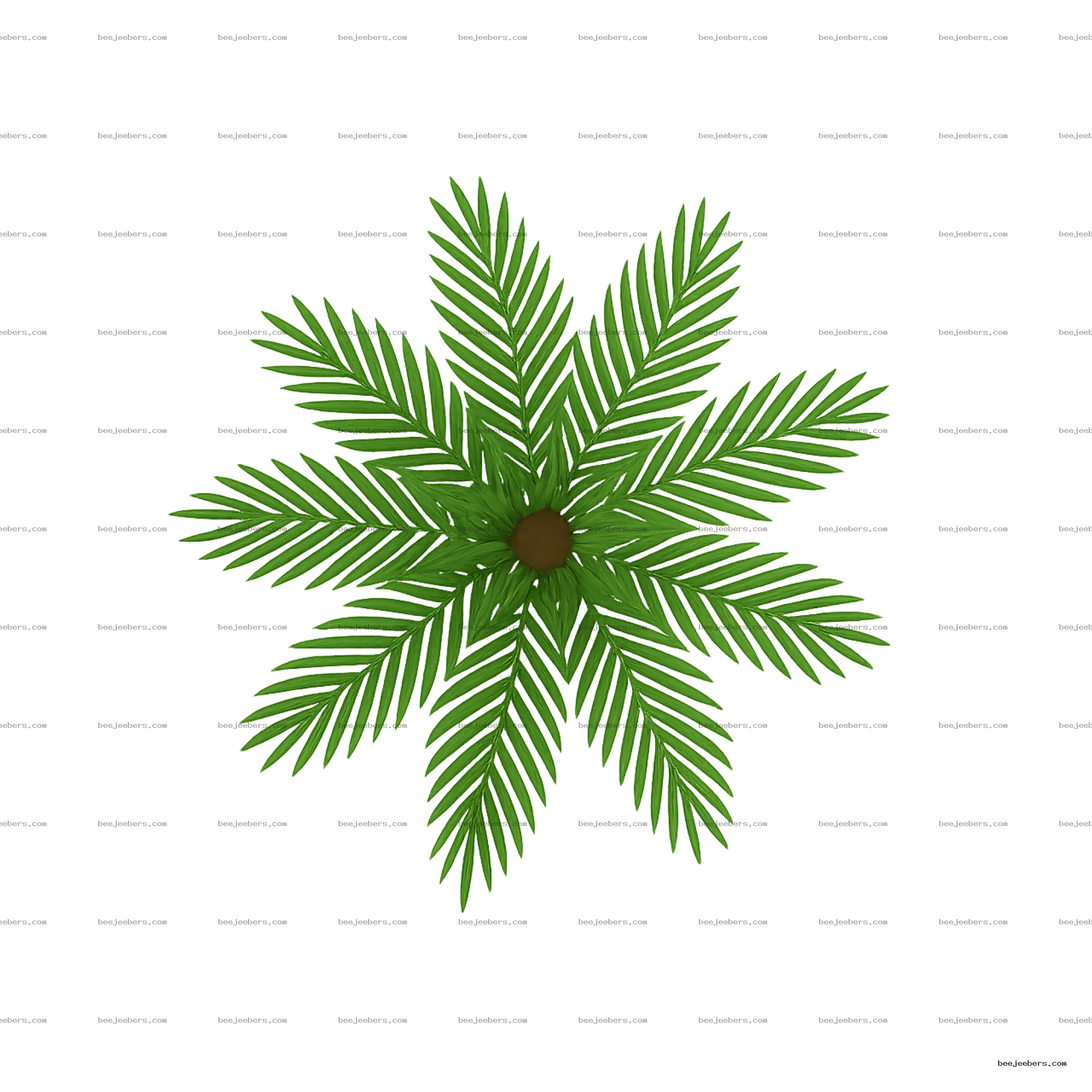 Clean vector illustration of top view palm tree leaves with transparent background