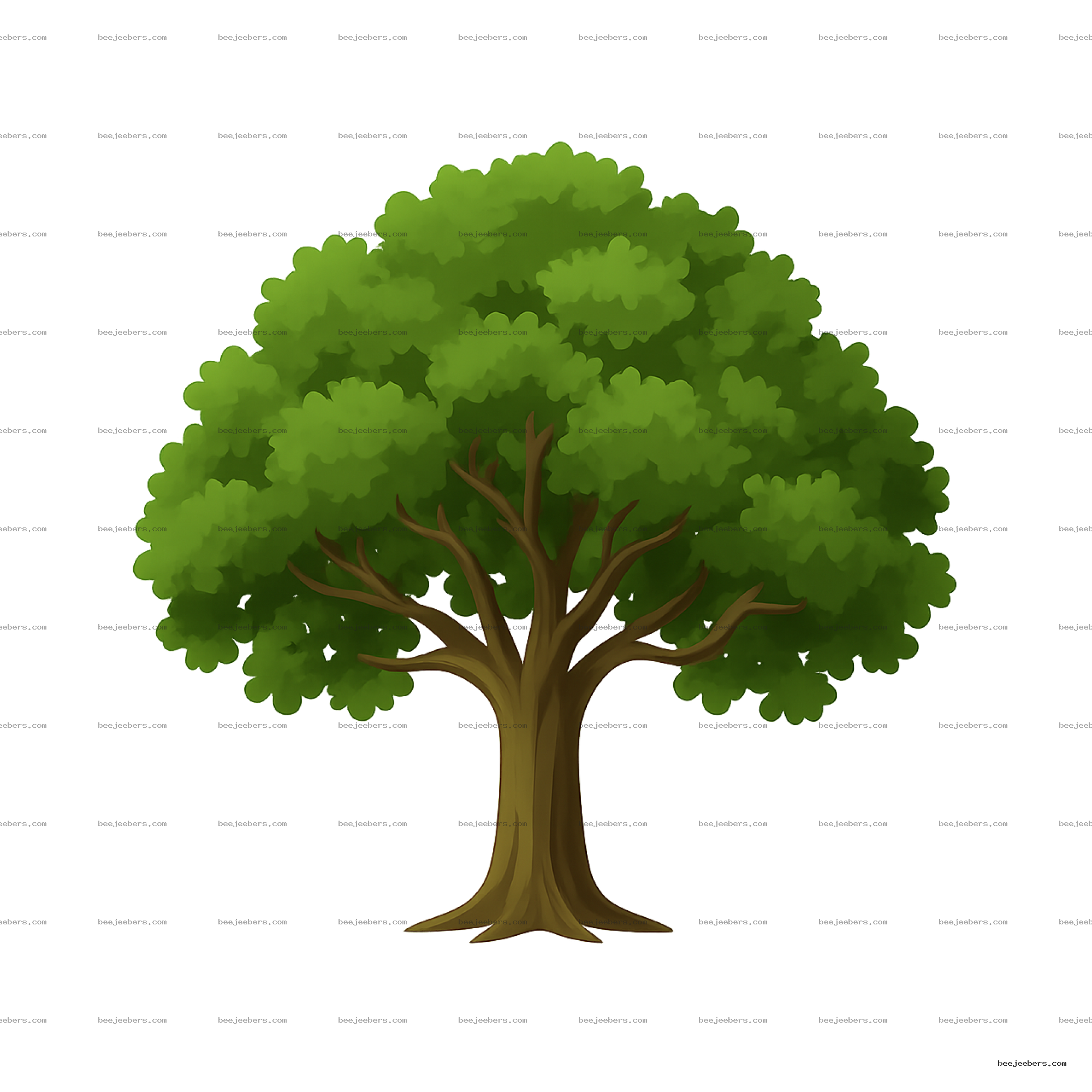 Clean vector oak tree with green leaves and brown trunk in transparent PNG format