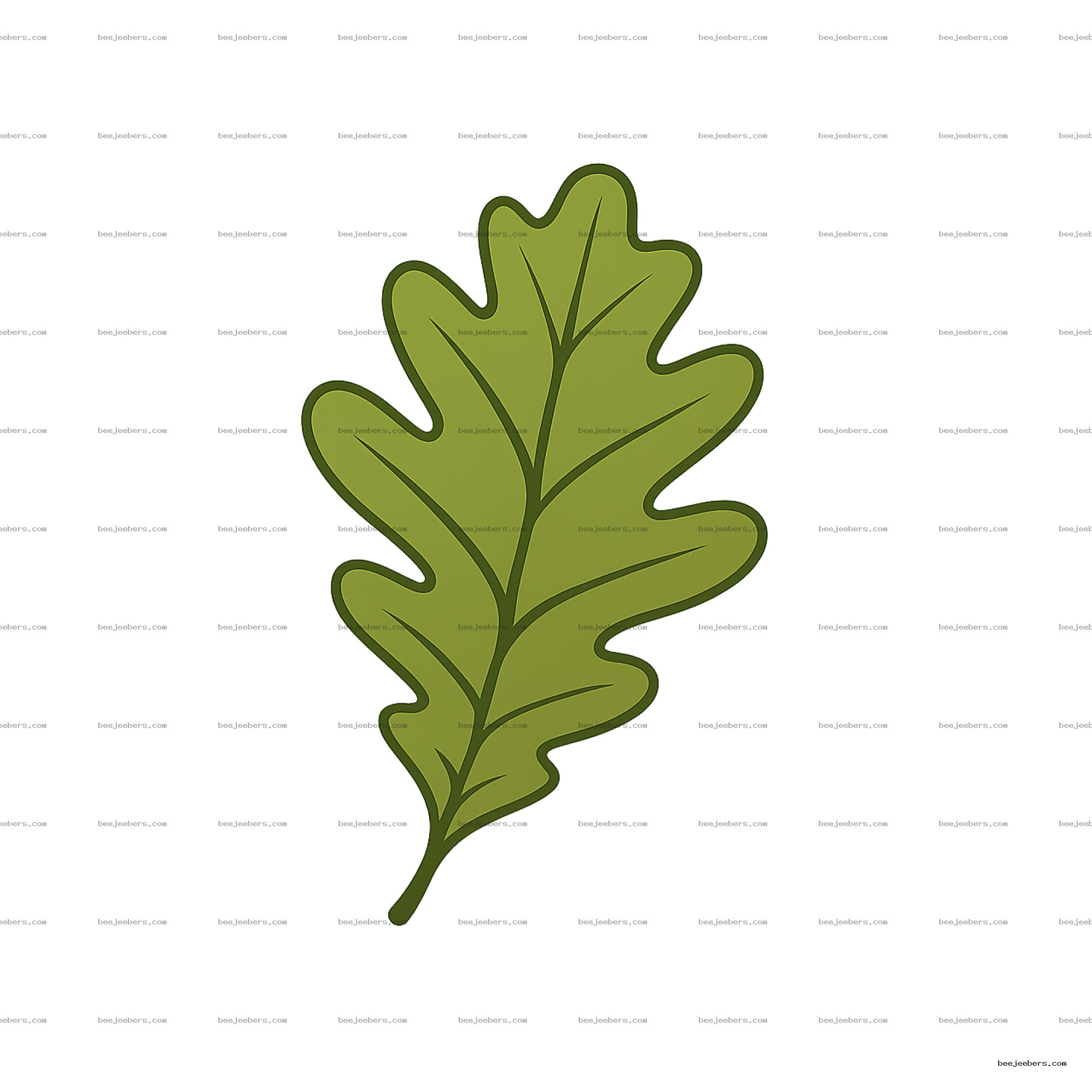 Clean vector green oak leaf with veins on transparent background digital download