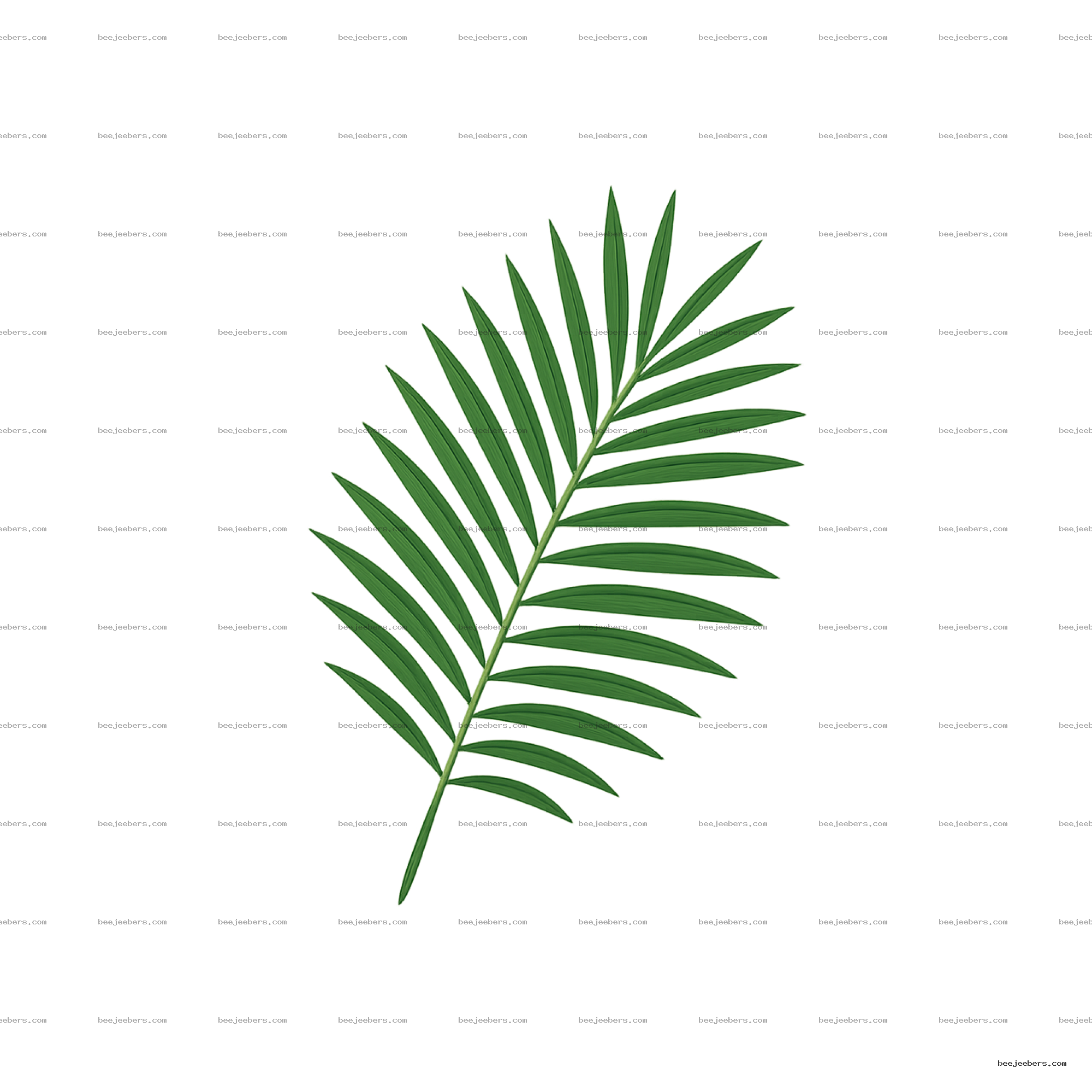 Clean vector illustration of a green palm tree leaf clipart on transparent background