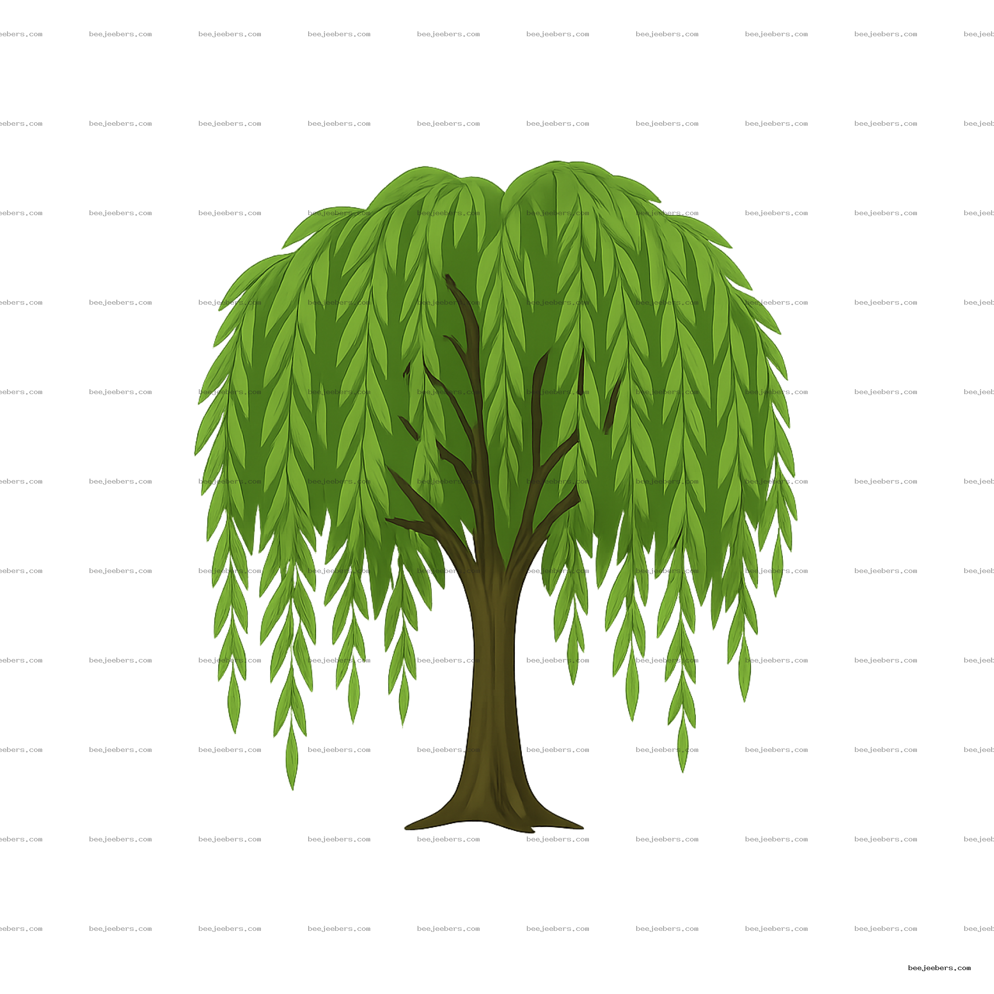 Clean vector illustration of a willow tree with green drooping leaves and brown trunk on transparent background