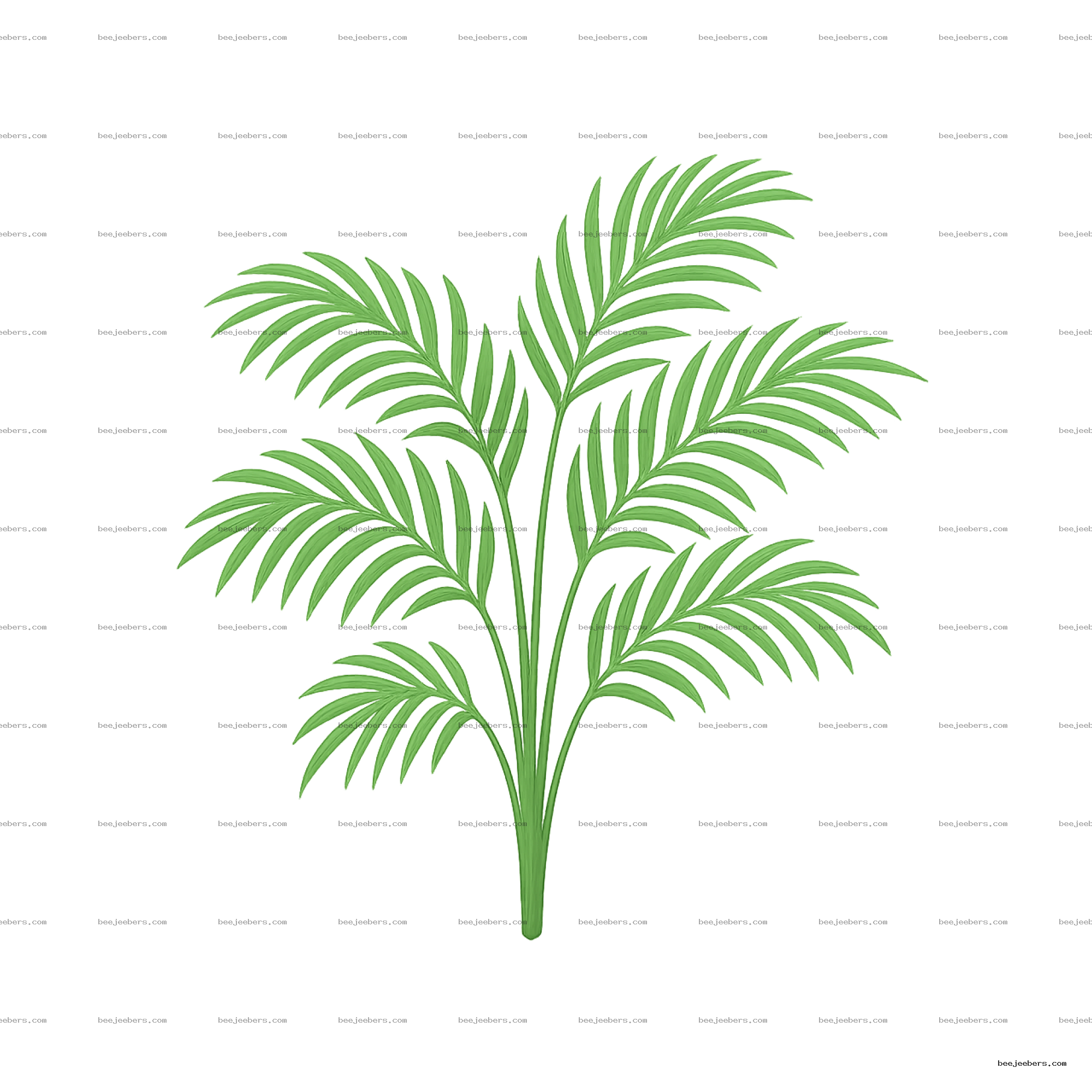 Clean vector illustration of green Areca palm leaves with multiple elongated fronds on transparent background