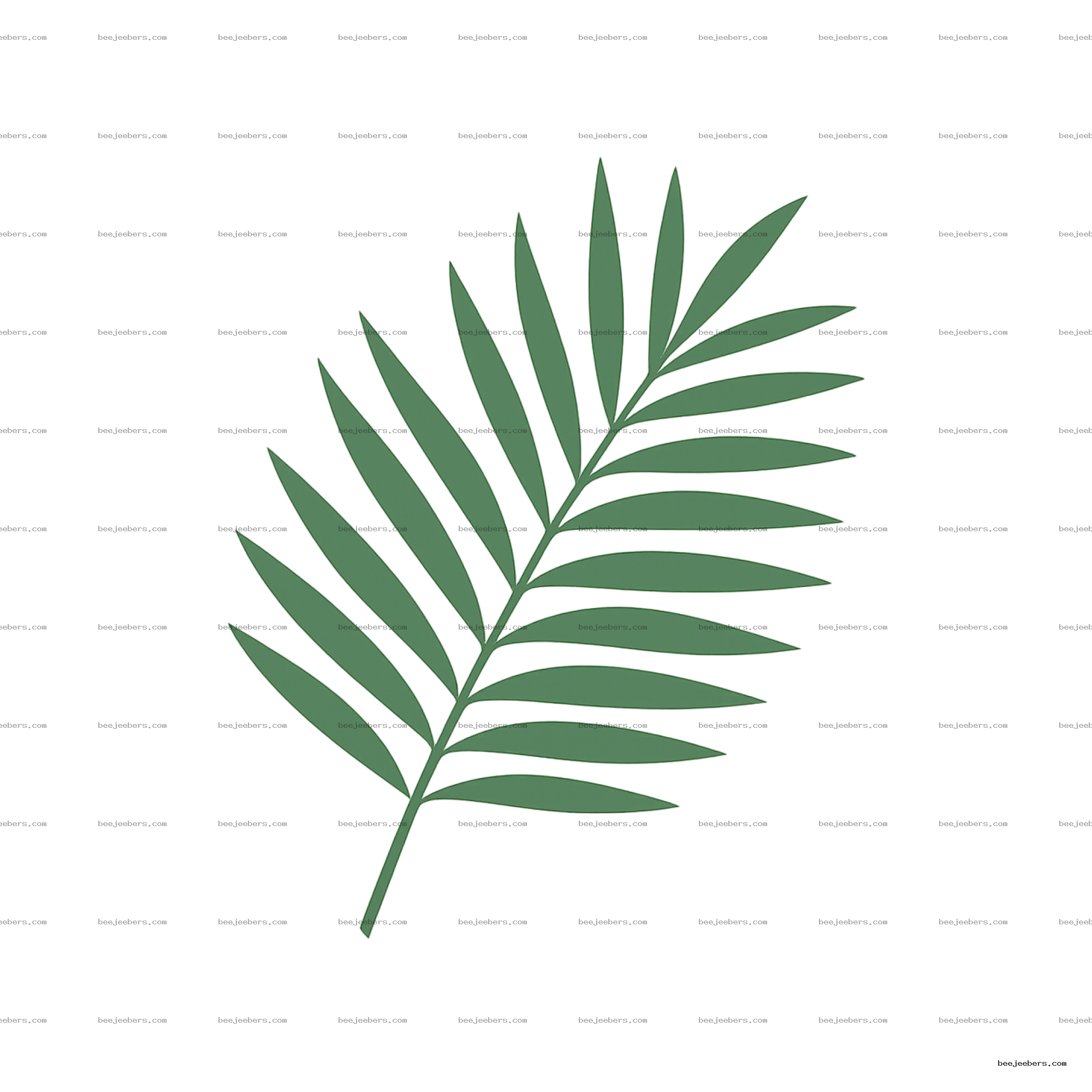 Clean vector illustration of a green palm frond branch on transparent background